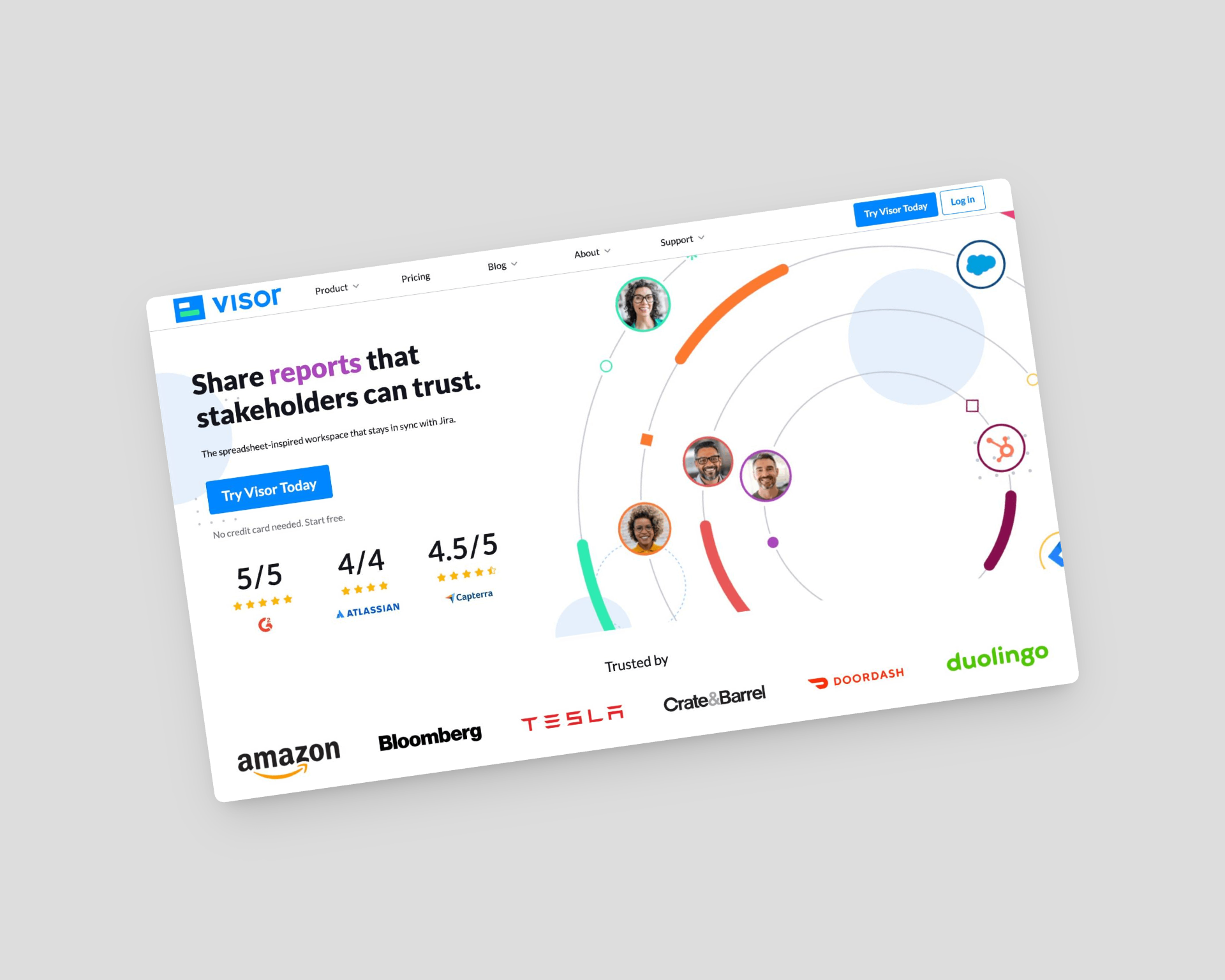 WordPress Development SaaS software developer