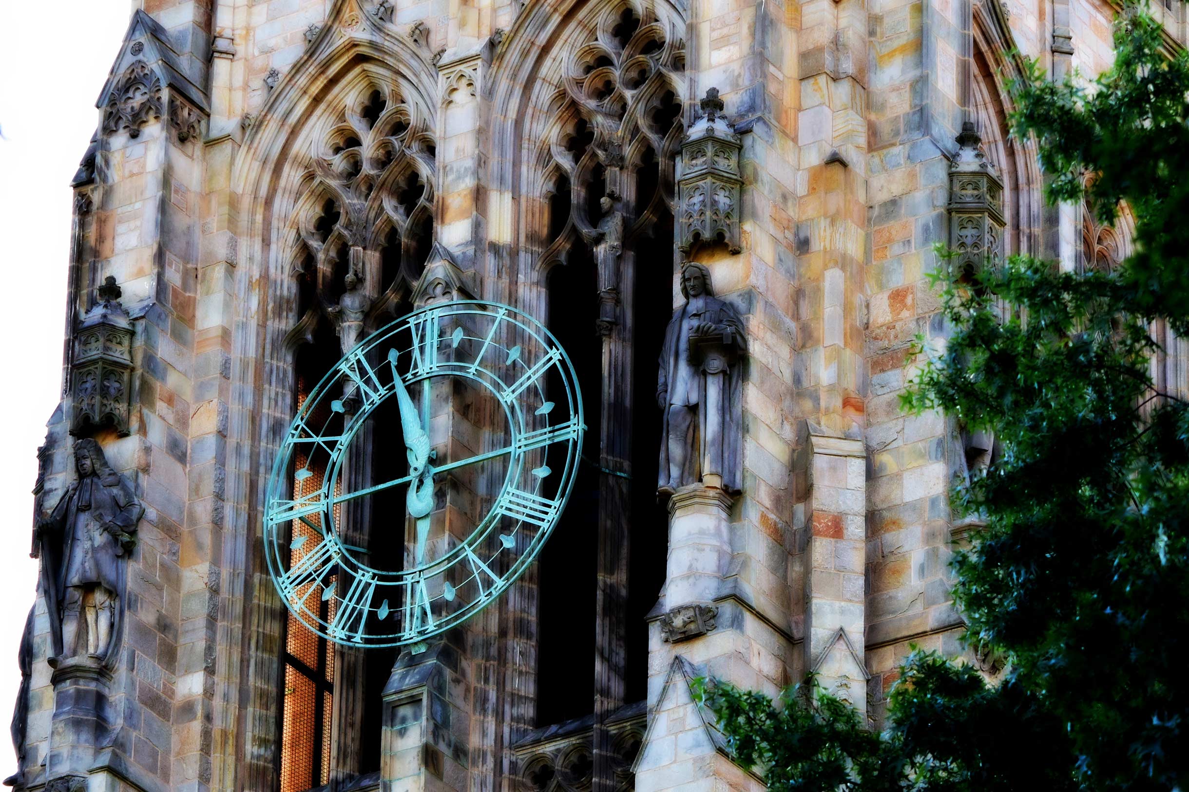 Web Development, Yale