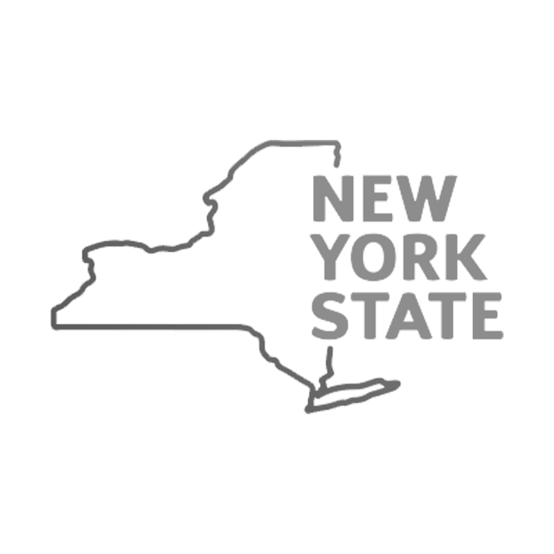 New York State web developer
